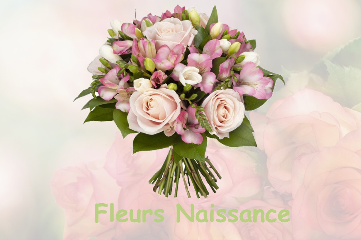 fleurs naissance BRICY