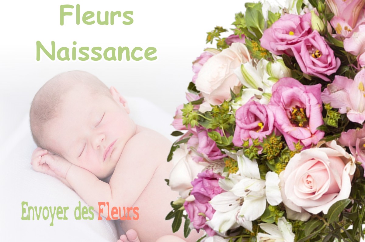 lIVRAISON FLEURS NAISSANCE à BRICY